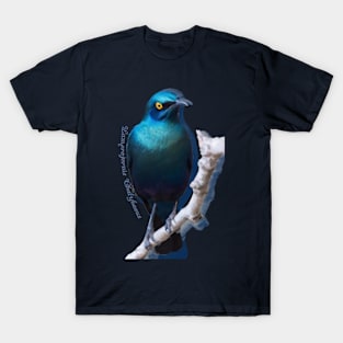 Greater blue-eared starling T-Shirt